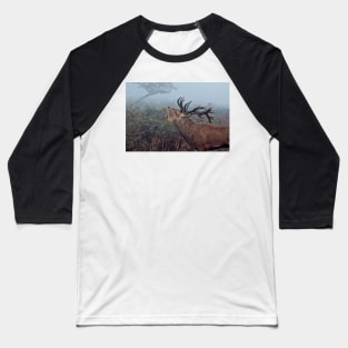 Red deer stag Baseball T-Shirt